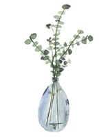 Misty III Framed Print