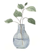 Misty IV Framed Print