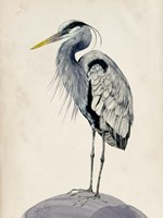 Blue Heron Rendering II Fine Art Print