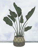 Mes Plants III Framed Print