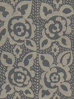 Paperwhite IV Framed Print