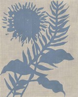 Dusk Botanical V Fine Art Print