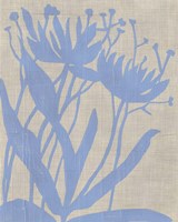 Dusk Botanical VI Fine Art Print