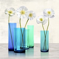 Poppies in crystal vases (Aqua I) Fine Art Print