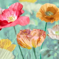 Poppies in Bloom II Fine Art Print