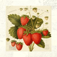 Fraises Fine Art Print