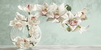 Orchid Arrangement II (Celadon) Fine Art Print