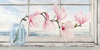 Magnolia Fine Art Print