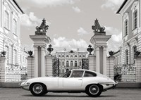 Princess at the Palace (detail) Fine Art Print