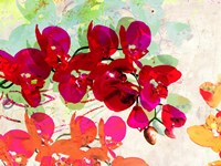 Orchidreams Fine Art Print
