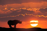 Kenya, Masai Mara Composite Of White Rhino Silhouette And Sunset Fine Art Print