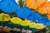 Mauritius, Port Louis, Caudan Waterfront Area With Colorful Umbrella Covering Fine Art Print