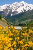 Wonderful Mountain Scenery Of Svanetia, Georgia Fine Art Print