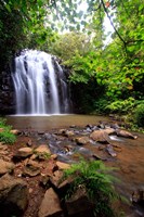 Ellinjaa Falls,  Waterfall Circuit, Queensland, Australia Fine Art Print