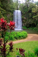 Millaa Millaa Falls, Queensland, Australia Fine Art Print