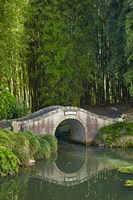 Chinese Scholar's Garden, North Island, New Zealand Fine Art Print