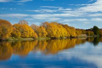 Autumn Colour And Clutha River At Kaitangata, South Island, New Zealand Fine Art Print