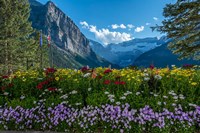 Wildflowers In Banff National Park Fine Art Print