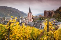 Germany, Rhineland-Pfalz, Bacharach, Elevated Town View In Autumn Fine Art Print