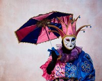 Elaborate Costume For Carnival, Venice, Italy Fine Art Print