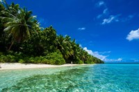 White Sand Beach In Turquoise Water In The Ant Atoll, Micronesia Fine Art Print