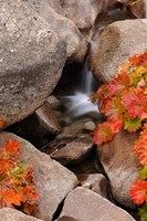 Small Waterfall In The Sierra Nevada Mountains Fine Art Print