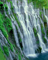 Burney Falls, California Fine Art Print