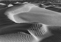 Valley Dunes Desert, California (BW) Fine Art Print