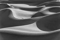 Desert Dunes, California (BW) Fine Art Print
