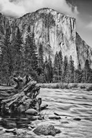 California, Yosemite, El Capitan (BW) Fine Art Print
