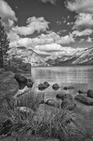 California, Lake Tenaya (BW) Fine Art Print