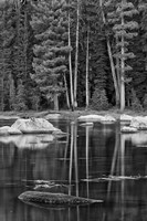 California, Sierra Lake (BW) Fine Art Print