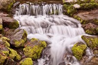 California, Yosemite, Small Falls Fine Art Print