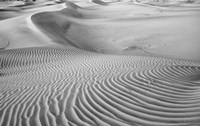 California, Valley Dunes Panoramic View Fine Art Print