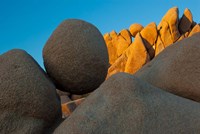 California Joshua Tree National Park Jumbo Rocks At Sunset Fine Art Print