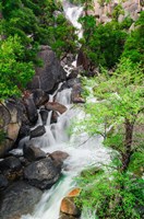 Cascade Creek, California Fine Art Print