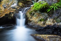 Cascade On Limekiln Creek Fine Art Print