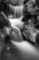 Cascade On Hare Creek (BW) Fine Art Print