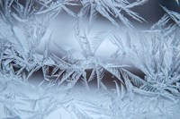 Frost On A Window Fine Art Print