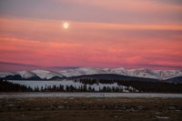Full Moon And Alpenglow Above Mosquito Range Fine Art Print