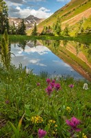 Paradise Divide Pond Reflection Fine Art Print