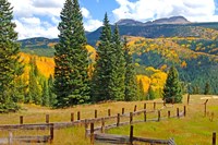 Autumn Colors In The San Juan Mountains, Colorado Fine Art Print