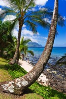 Hideaways Beach, Island Of Kauai, Hawaii Fine Art Print