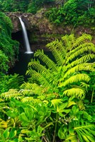 Rainbow Falls, Wailuku River State Park, Hawaii Fine Art Print