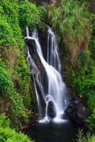 Cascade On The Hamakua Coast, The Big Island, Hawaii Fine Art Print