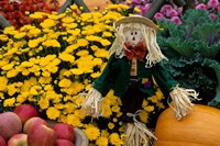 Fall Garden Display, Illinois Fine Art Print