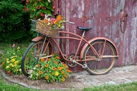 Old Bicycle With Flower Basket, Marion County, Illinois Fine Art Print