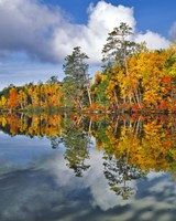 Autumn Scene Of Upper Togue Pond, Maine Fine Art Print
