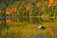 Autumn Reflections In Bubble Pond, Acadia National Park, Maine Fine Art Print