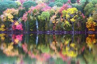 Great Long Pond Reflection,  Maine Fine Art Print